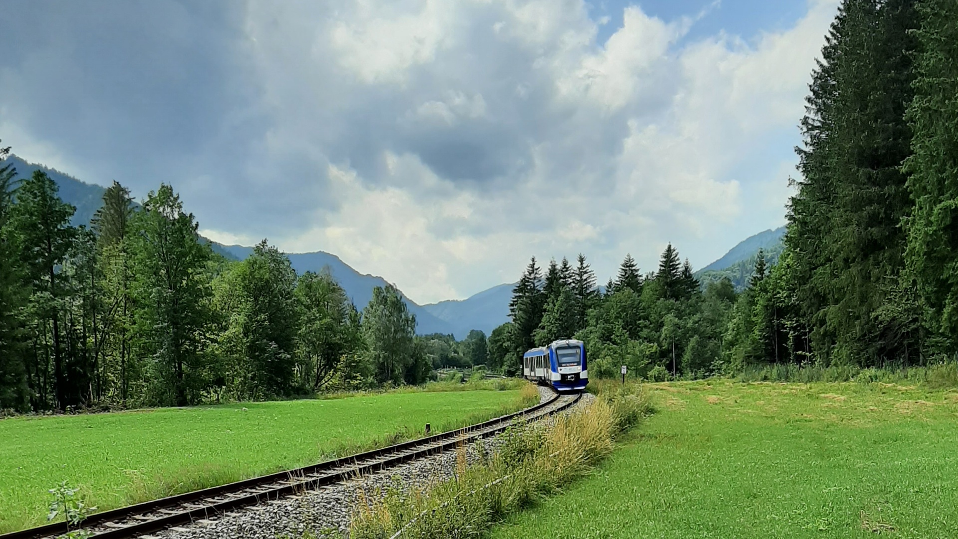 Ein blau-weißer Zug auf einer grüne Wiese, im Hintergrund Berge